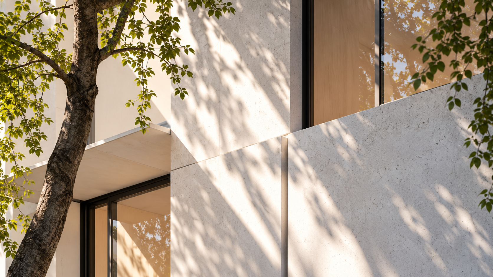 Façade contemporaine sous les ombres du feuillage